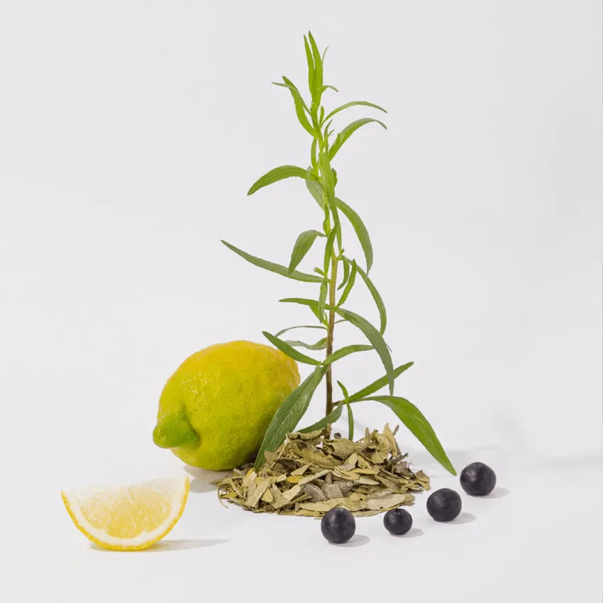 Compagnie de Provence | White Tea Hand Cream - Glass