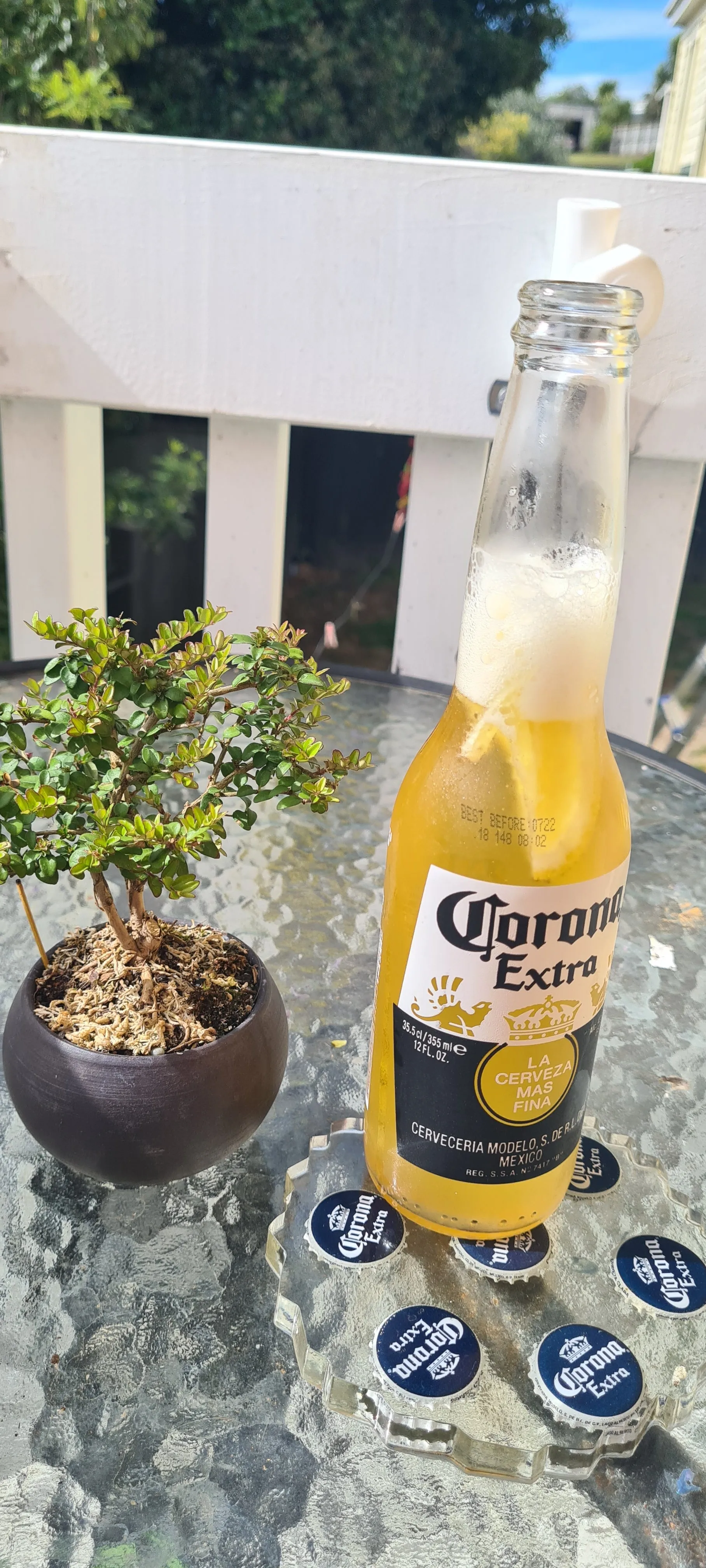 CORONA COASTER SET of 4