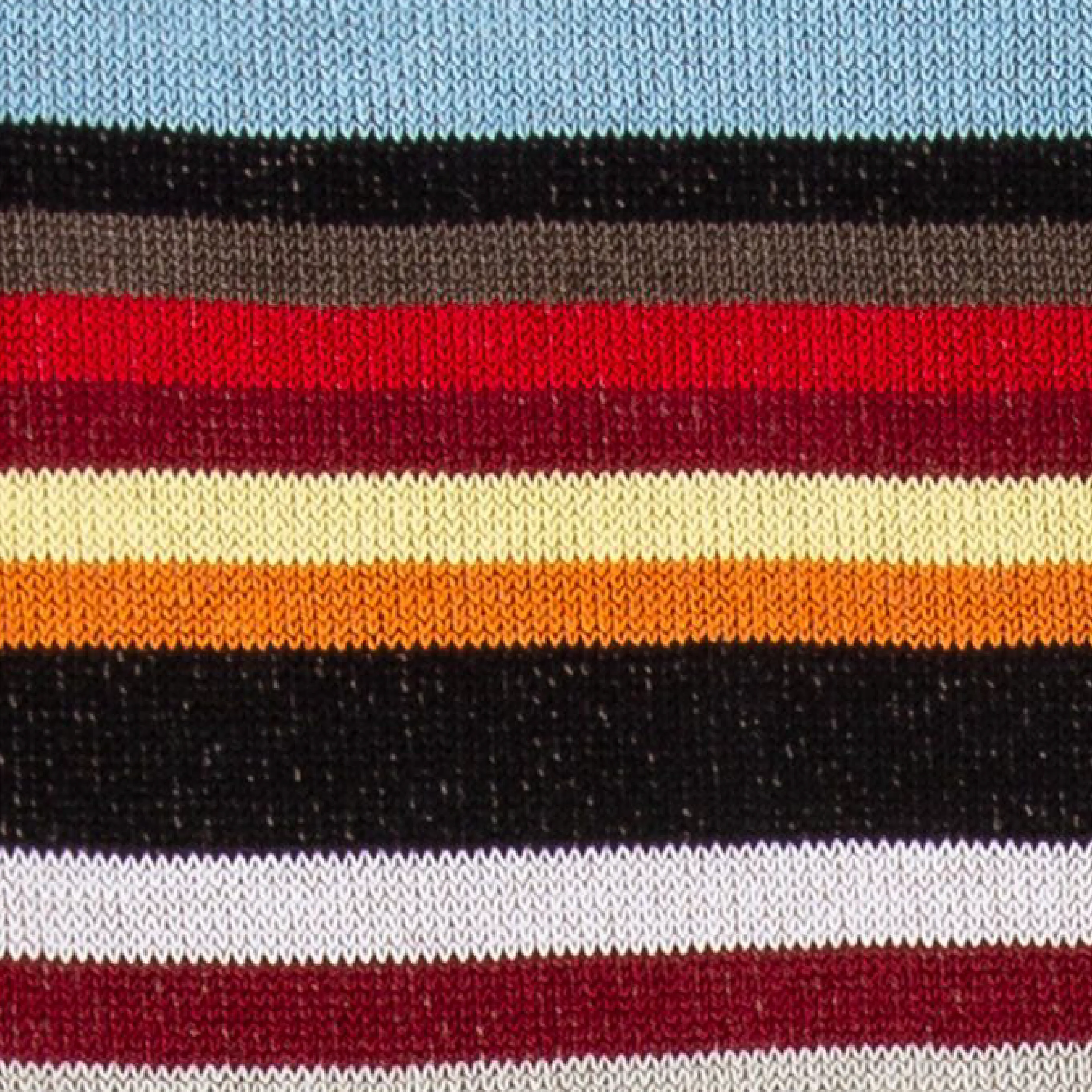 Men's 'Signature Stripe' Socks | Multicolour