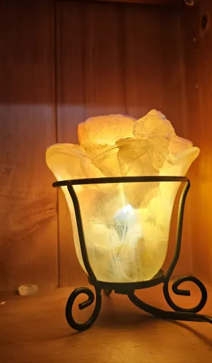 ORANGE CALCITE CRYSTAL TULIP LAMP