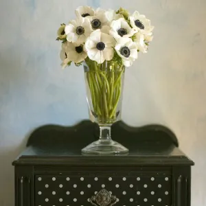 Polka Party Furniture Stencil