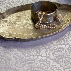 Spanish Lace Scallop Furniture Stencil