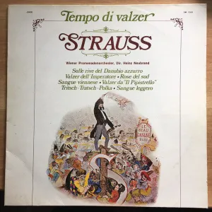 Tempo Di Valzer Strauss